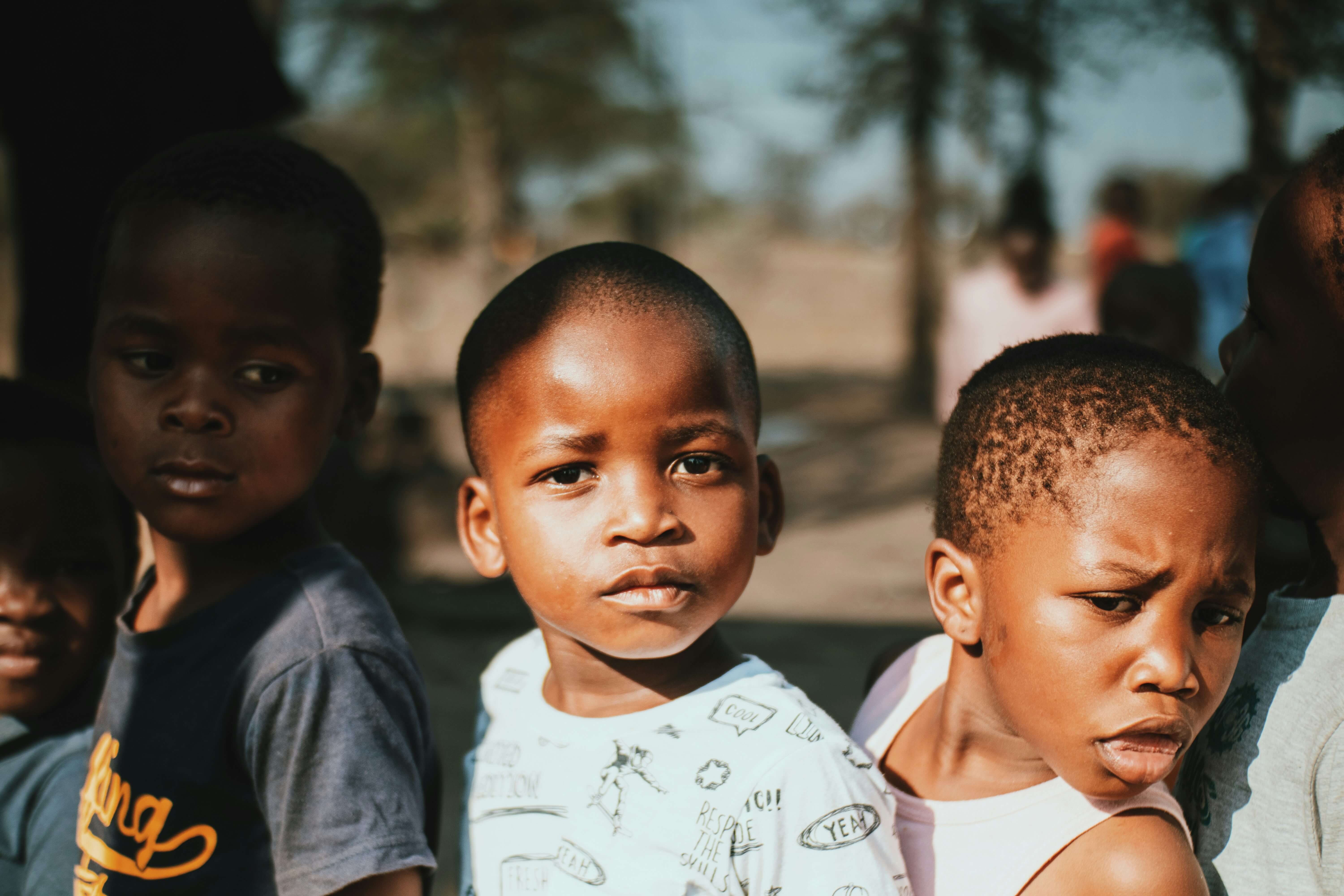 Walnut card tray filled with cards and card angled in dedicated groove.